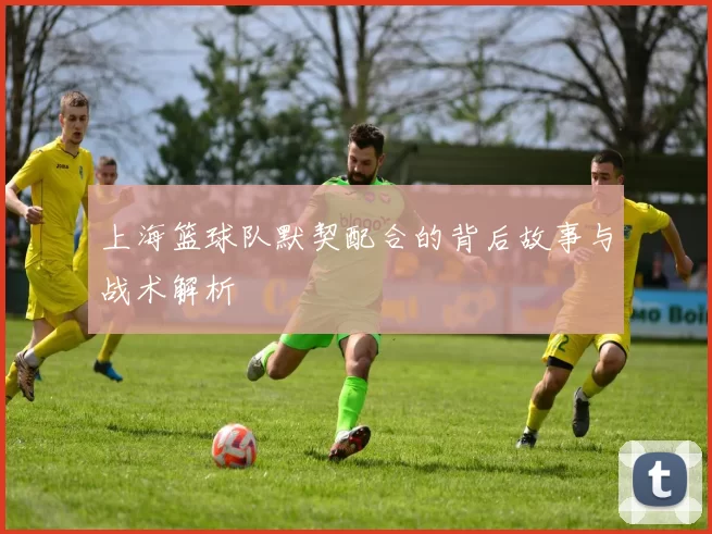 上海篮球队默契配合的背后故事与战术解析