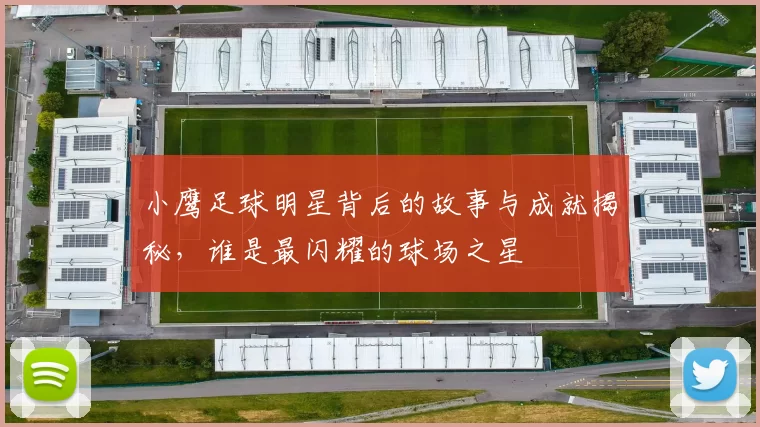 小鹰足球明星背后的故事与成就揭秘，谁是最闪耀的球场之星