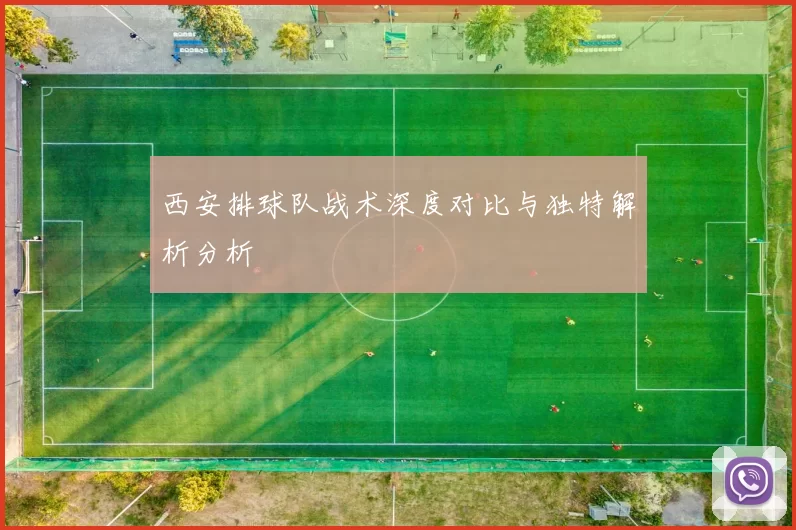 西安排球队战术深度对比与独特解析分析
