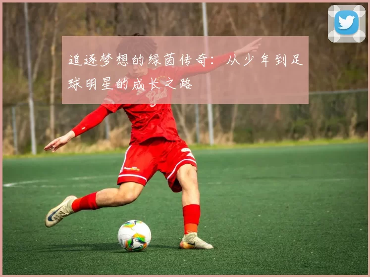 追逐梦想的绿茵传奇：从少年到足球明星的成长之路