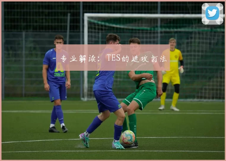 专业解读：TES的进攻打法