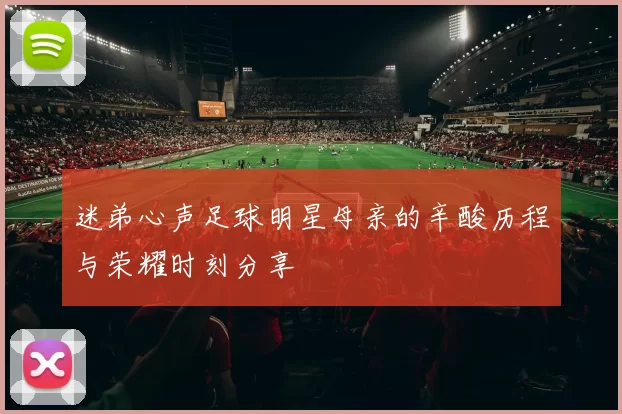 迷弟心声足球明星母亲的辛酸历程与荣耀时刻分享