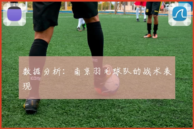 数据分析：南京羽毛球队的战术表现