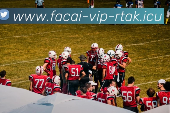 开云体育平台生态图