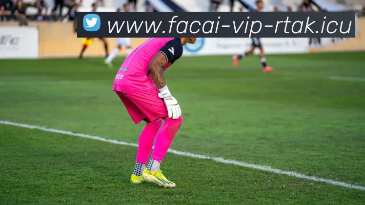 开云体育全站App